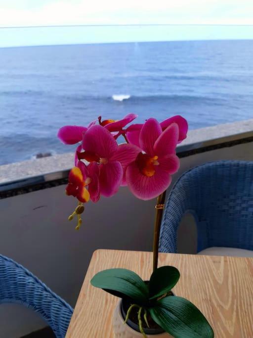 푸에르토 드 라 크루즈 Ocean Orchidea 아파트 외부 사진